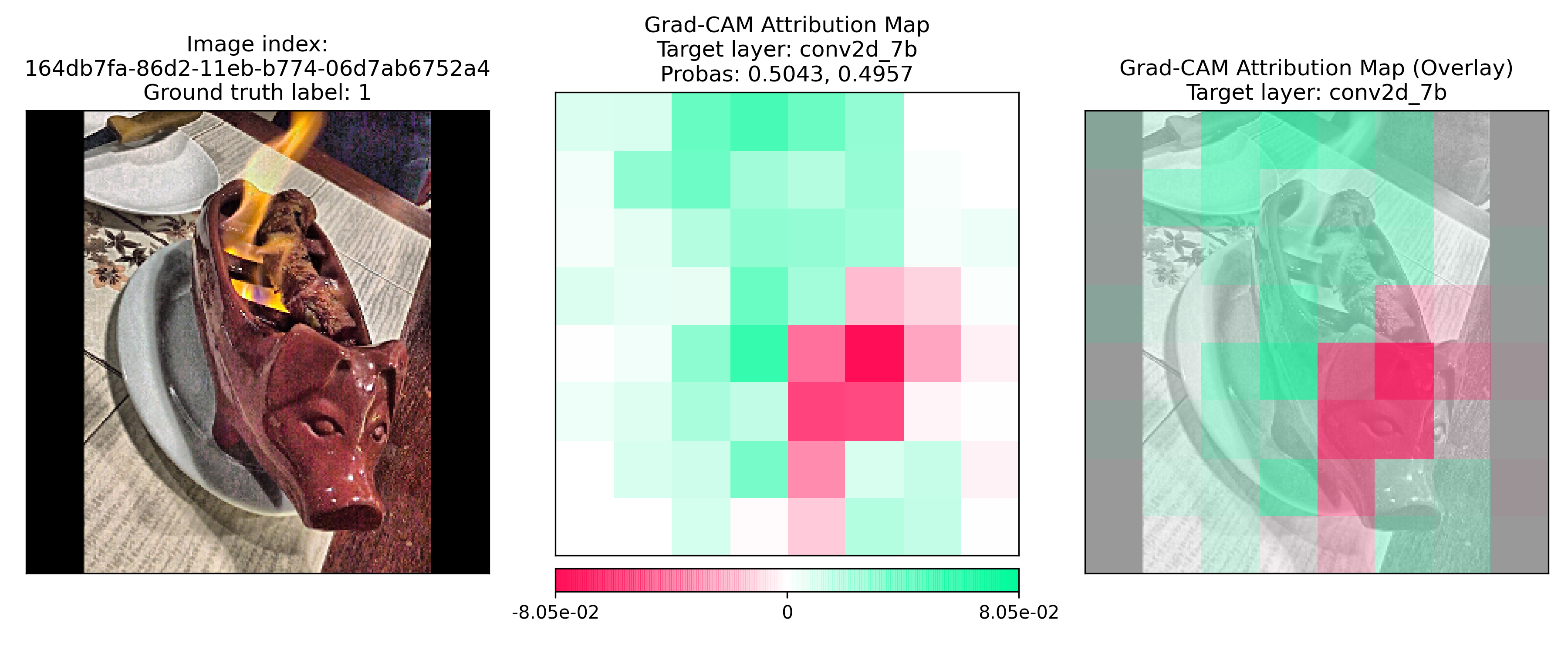 img/tutorial_how_to_interpret_gradcam_for_fooddx/164db7fa-86d2-11eb-b774-06d7ab6752a4.png