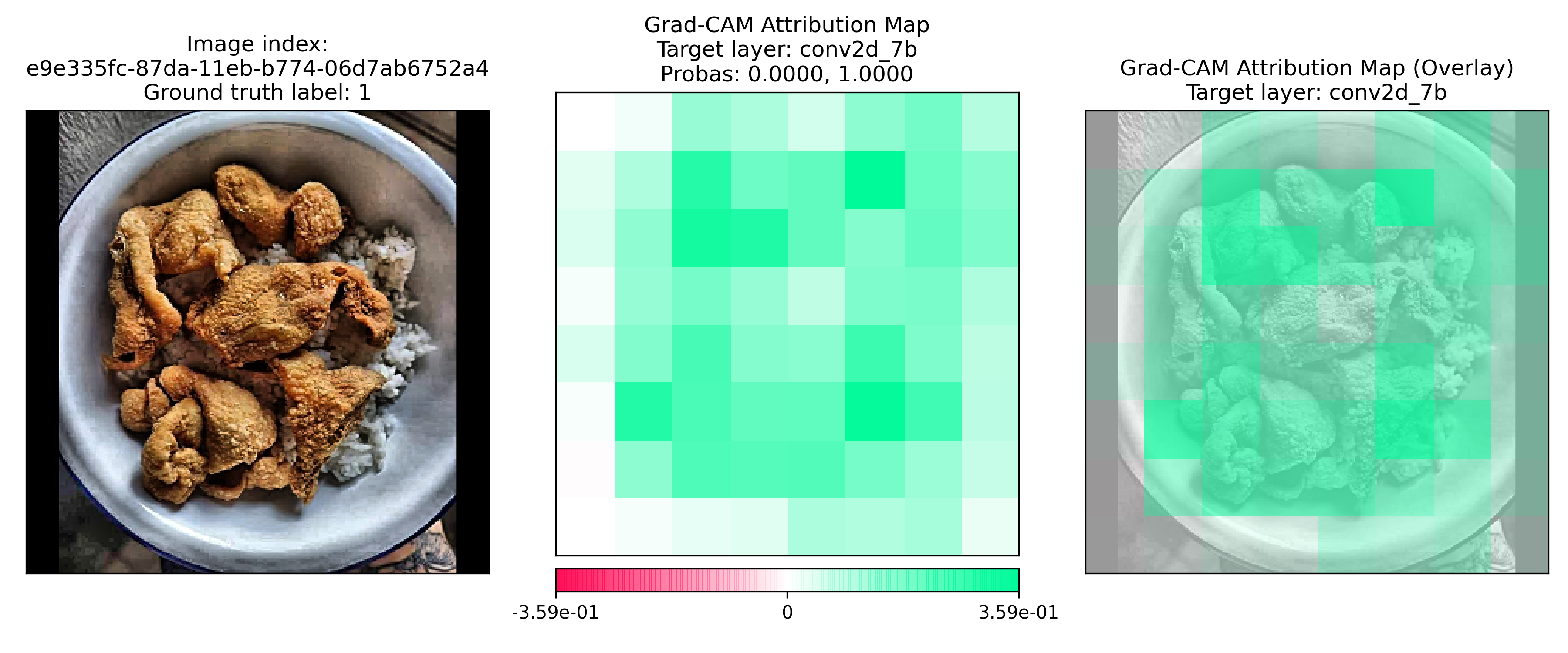 img/tutorial_how_to_interpret_gradcam_for_fooddx/e9e335fc-87da-11eb-b774-06d7ab6752a4.png